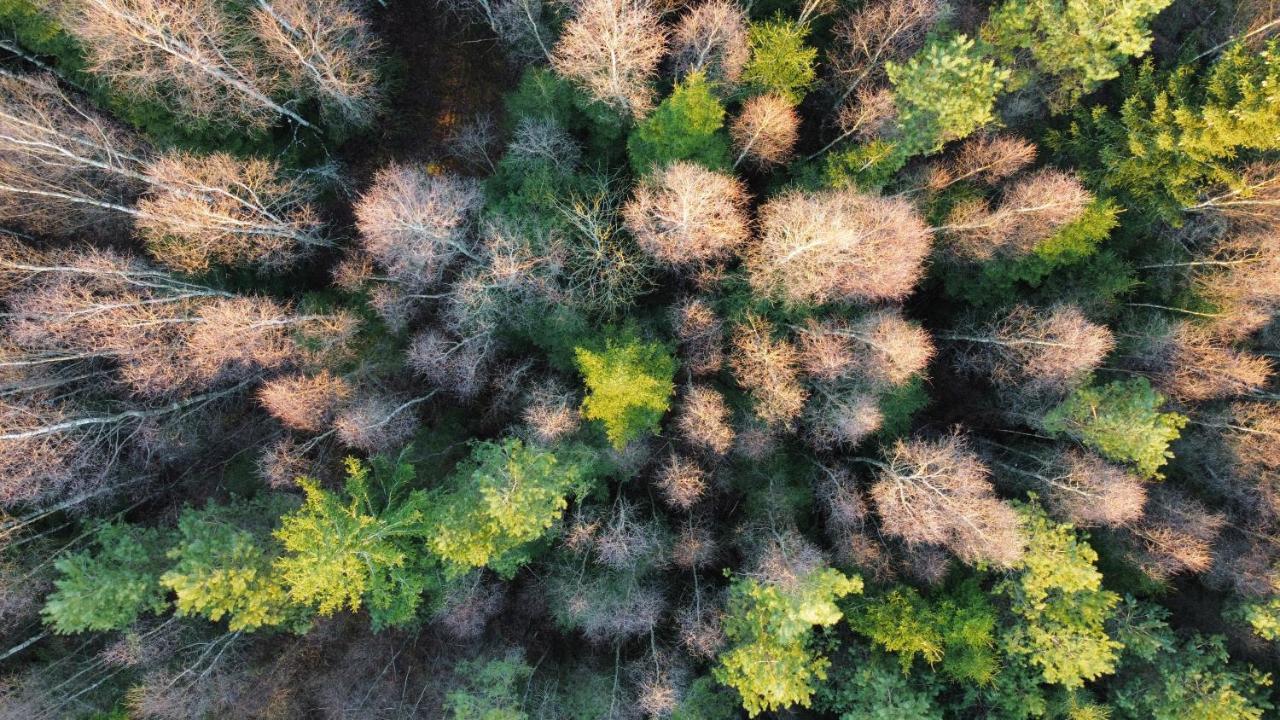 Mysig Och Modern Stuga Pa Snoegard, Naera Havet Och Naturen Lur  Esterno foto