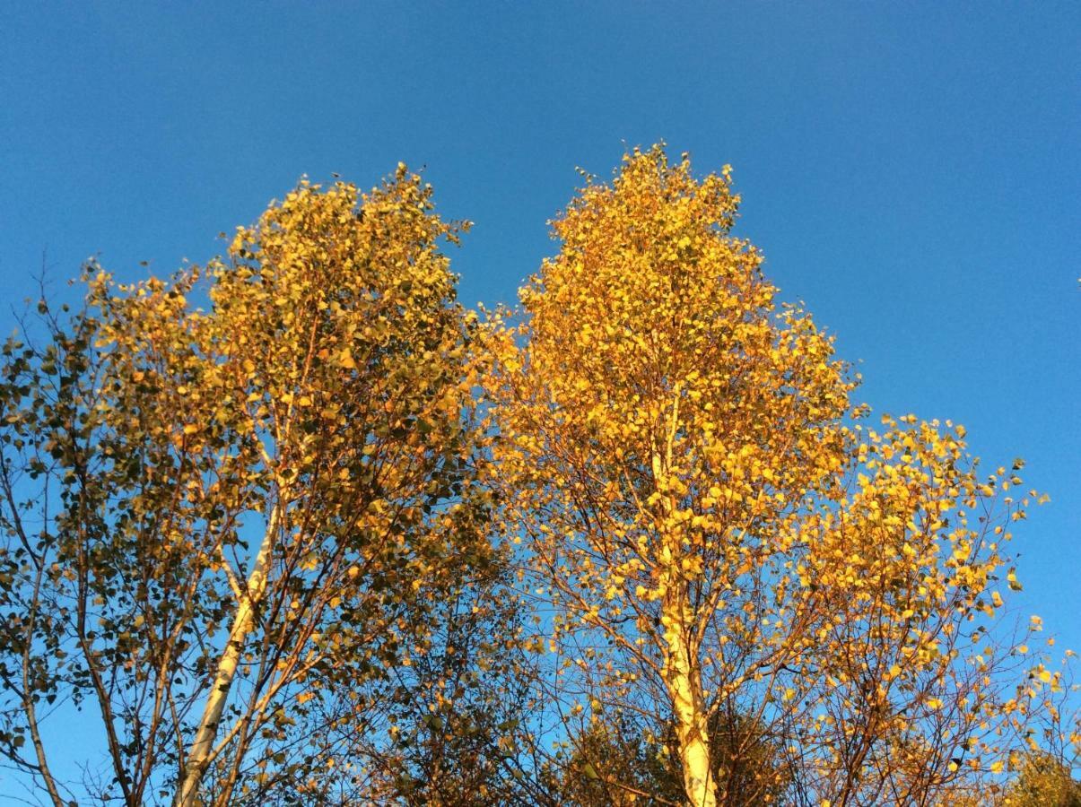 Mysig Och Modern Stuga Pa Snoegard, Naera Havet Och Naturen Lur  Esterno foto