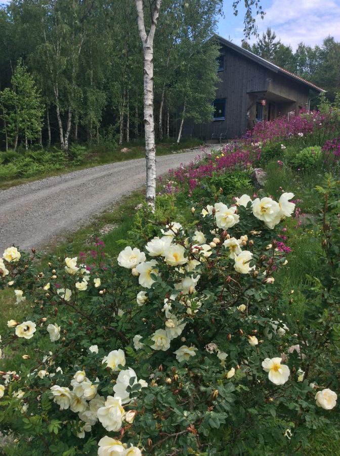 Mysig Och Modern Stuga Pa Snoegard, Naera Havet Och Naturen Lur  Esterno foto